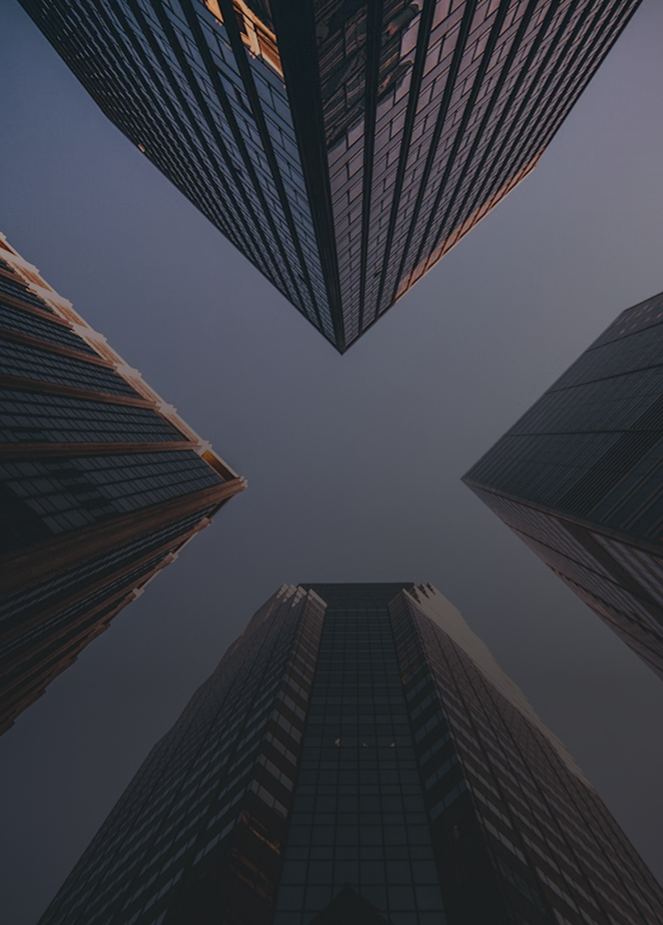 Cacttus Business Solution