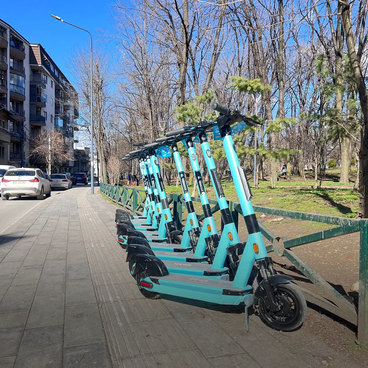 Parku i qytetit.webp